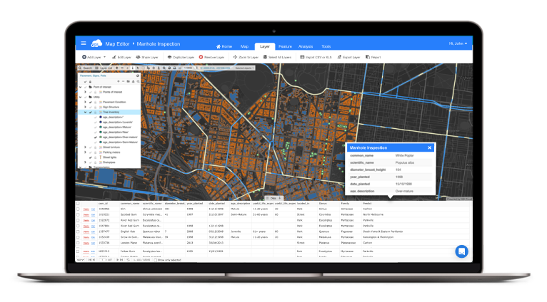 Powerfull online map editor for data analysis and managment