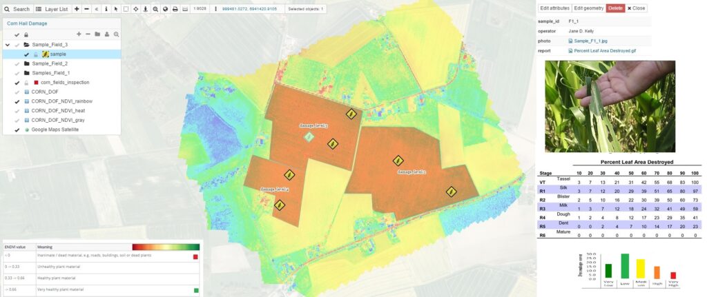 NDVI crop map