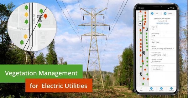 Vegetation management along power lines in GIS Cloud