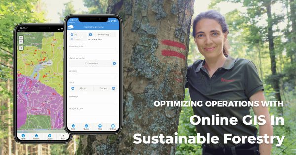 Sustainable forestry mapping in GIS Cloud