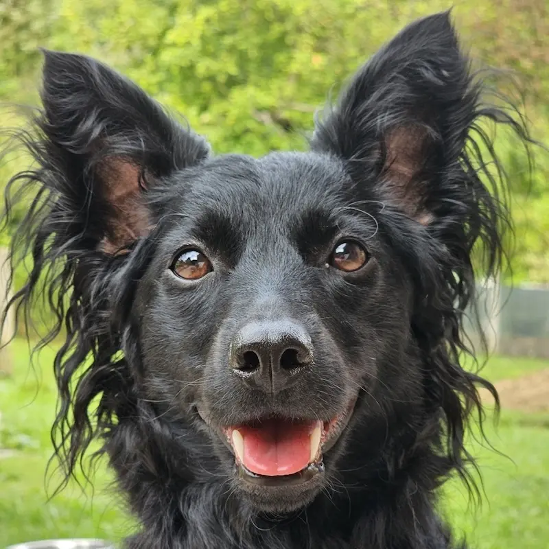Betty