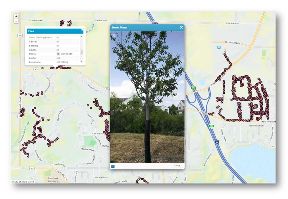 Tree Inventory in the City of Maple Grove