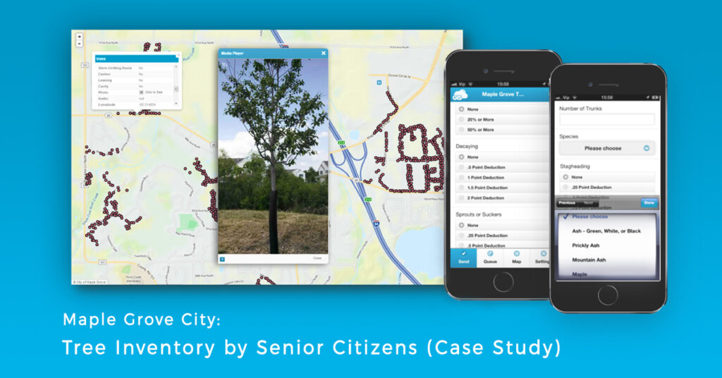 Tree Inventory in the City of Maple Grove (Case Study)