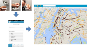 An example from Patho Map project : Displaying the pathogen map or “PathoMap” of New York City and surrounding areas