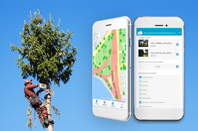 Improving Tree Inspections With Mobile Apps for Arborists (Case Study)