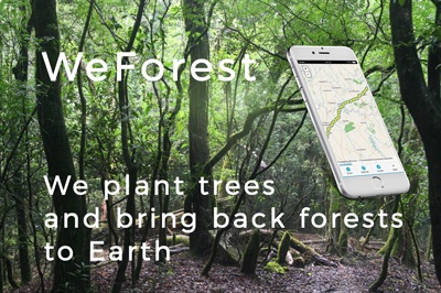WeForest – Improving the Forest Restoration Process in Zambia with GIS Cloud