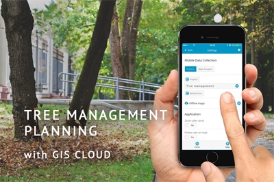 GIS Cloud as a Solution for Urban Tree Management
