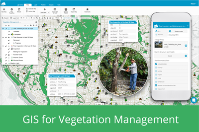 GIS For Vegetation Management