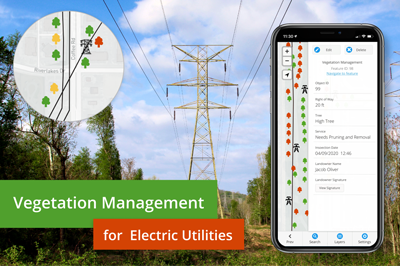 Vegetation Management For Electric Utilities