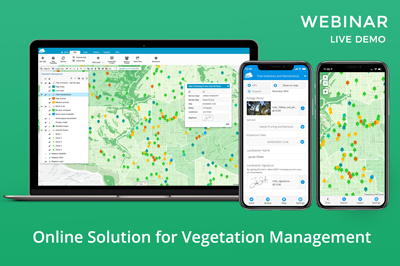 GIS Cloud Solution For Vegetation Management