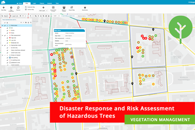 Disaster Response and Risk Assessment in Vegetation Management – Use Case