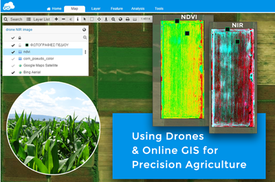 Using Drones and Online GIS for Precision Agriculture in Greece – Case Study