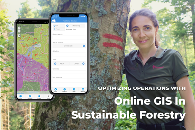Optimizing Operations with Online GIS in Sustainable Forestry (case study)