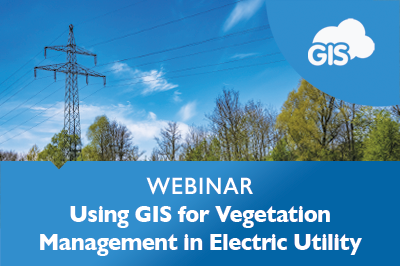 Using GIS for Vegetation Management in Electric Utility