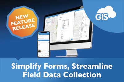 Streamlining Your Data Entry with Grouped Form Items
