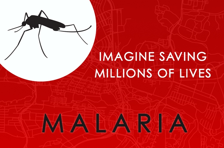 Malaria GIS Day project