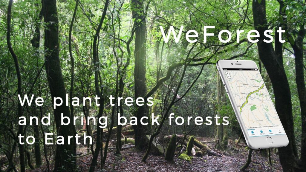 Using GIS for Environmental Protection and Saving Forests